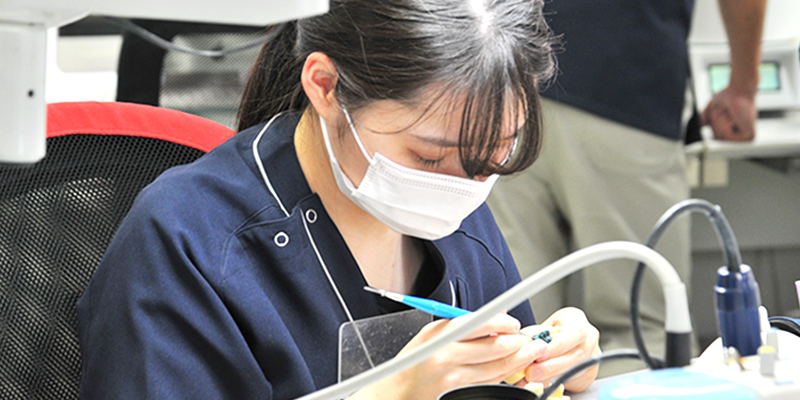 新卒採用